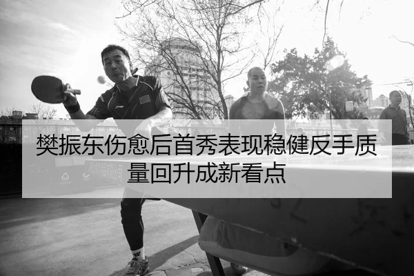 樊振东伤愈后首秀表现稳健反手质量回升成新看点
